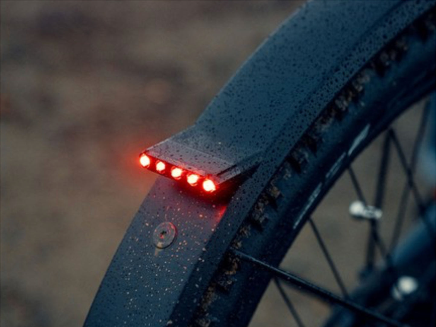 Riese and Muller Load 60 Touring HS eMTB full suspension closeup fender taillight breaklight