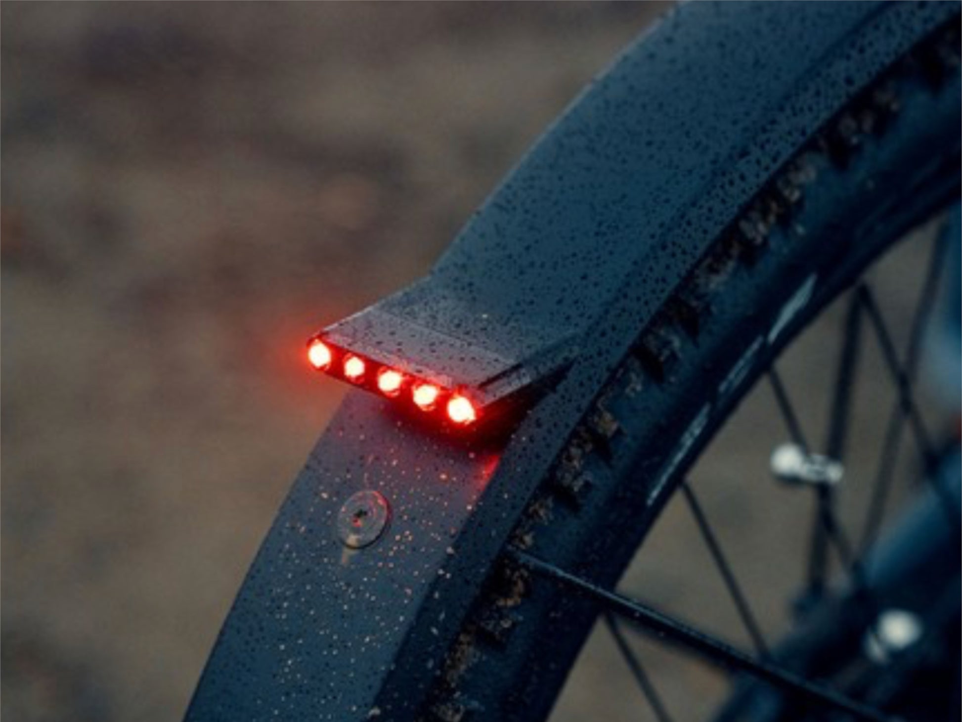 Riese and Muller Load 60 Touring HS eMTB full suspension closeup fender taillight breaklight