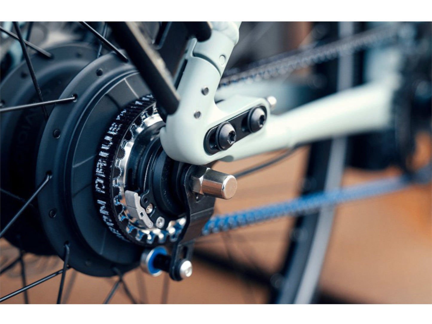 Riese and Muller Roadster Mixte Touring eMTB hardtail close up chain cassette