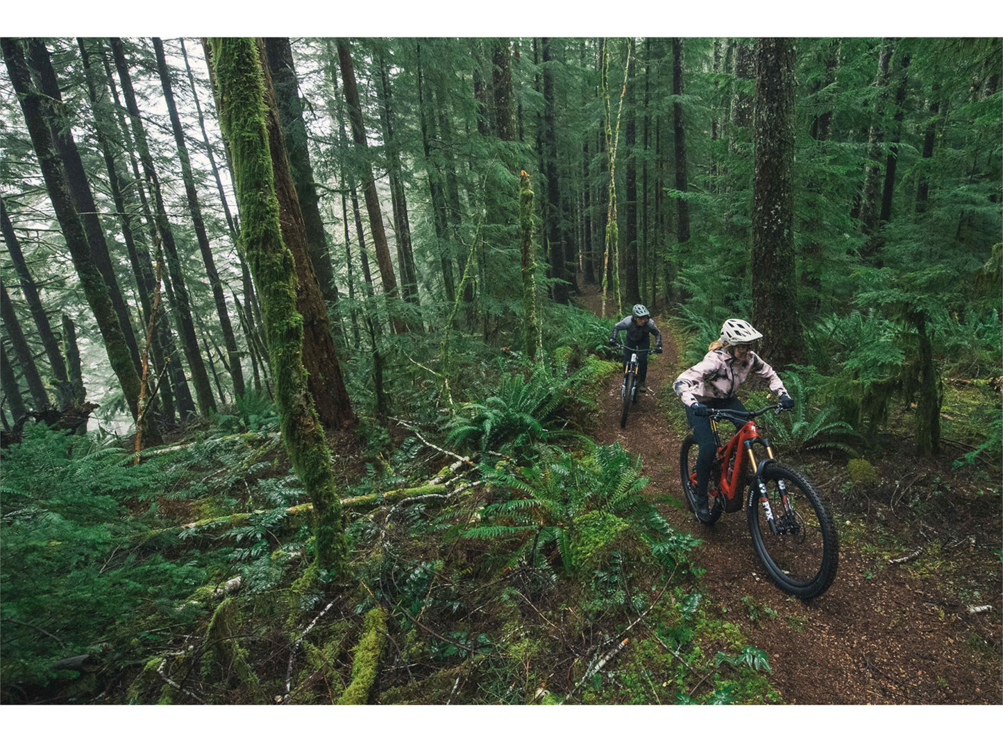 Specialized Turbo Levo action forest trail