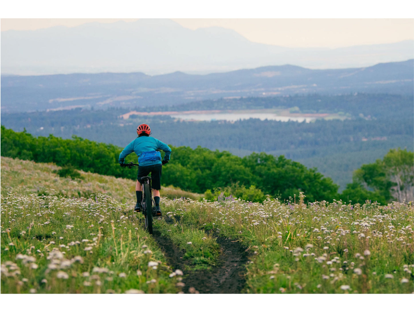 Specialized Turbo Tero 3.0 Step-through emtb hardtail action photo downhill mountain meadow