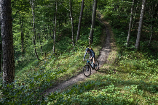 Riding a Cube Reaction Hybrid Pro 500 on a forest trail, review article on Fly Rides