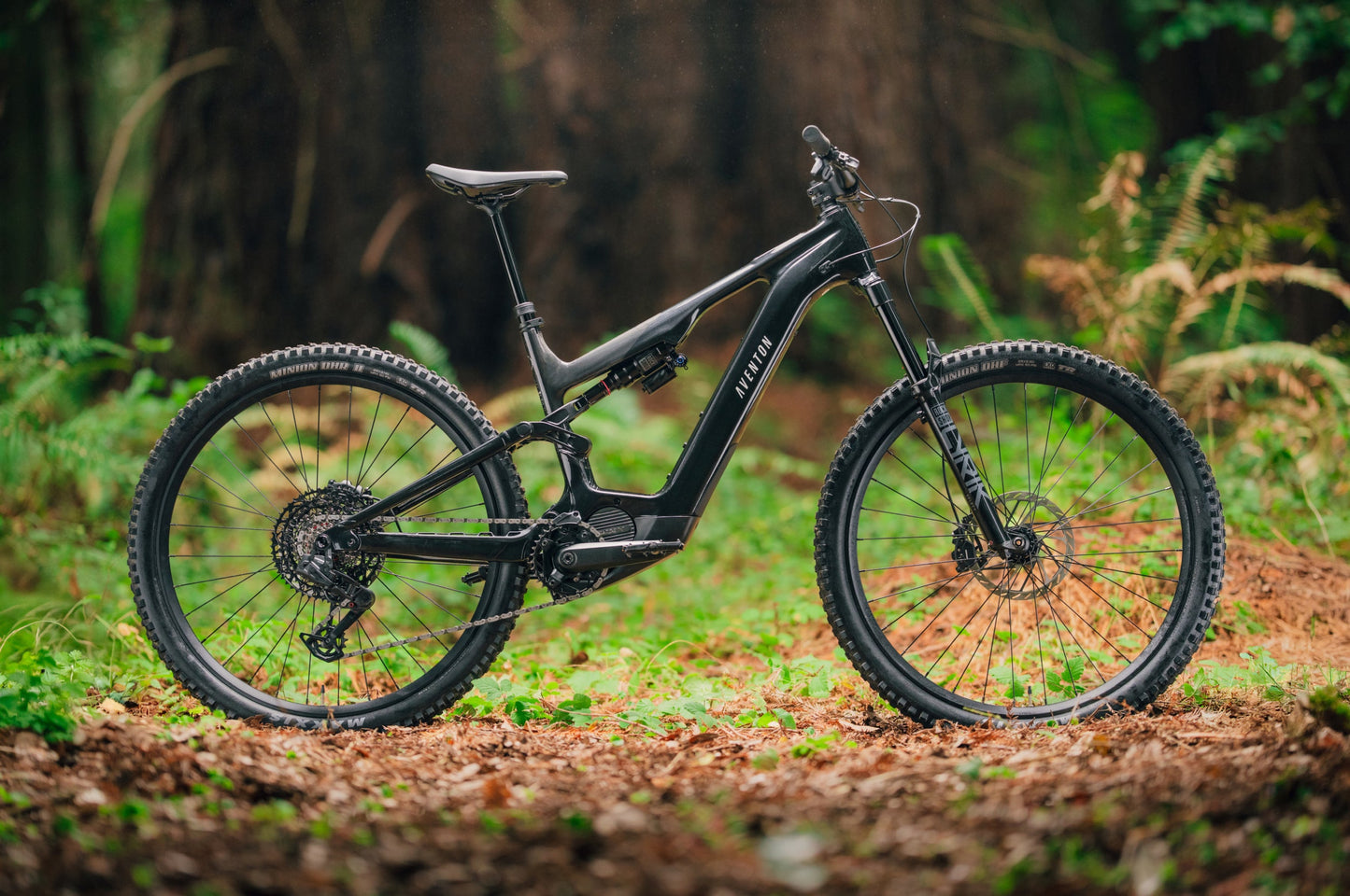 Aventon Current EXP carbon front triangle frame detail