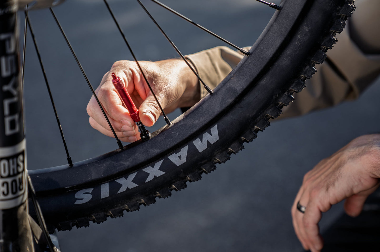 Aventon Current EXP tubeless-ready wheels and tires detail