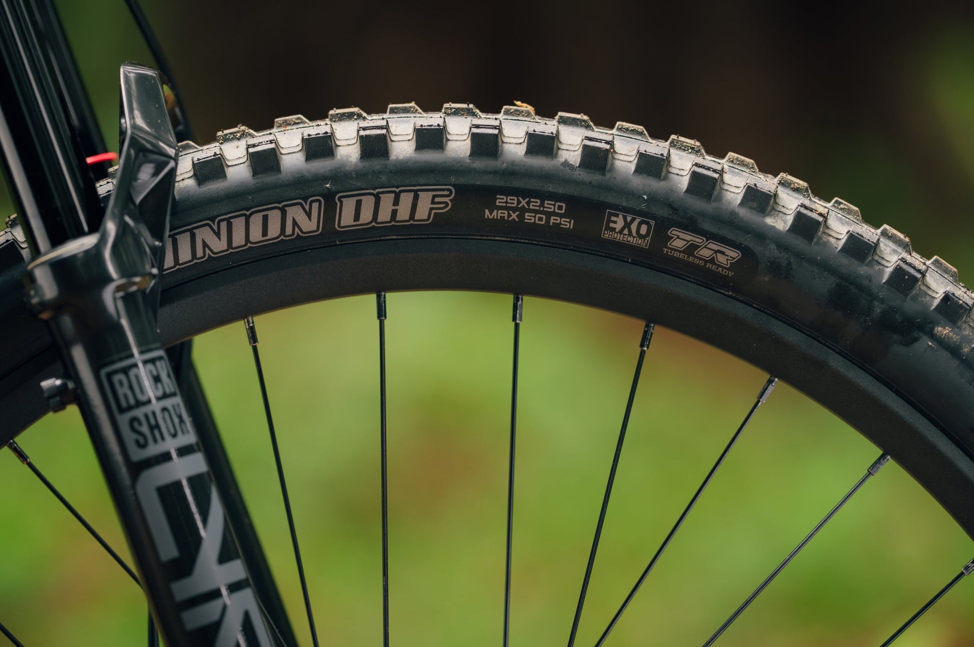 Aventon Current ADV 29-inch tubeless-ready wheels detail
