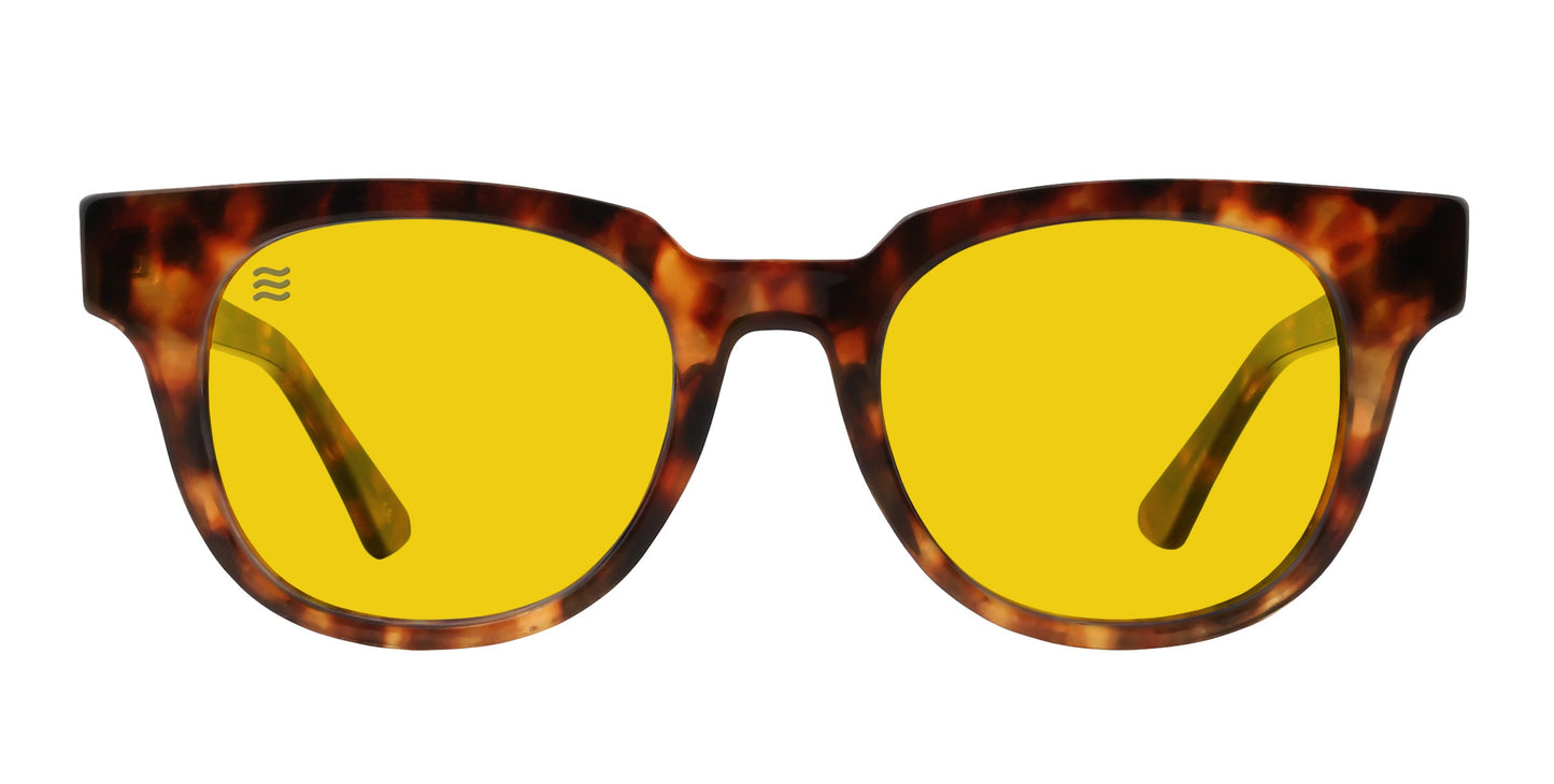 Neven Eyewear | Gryphon