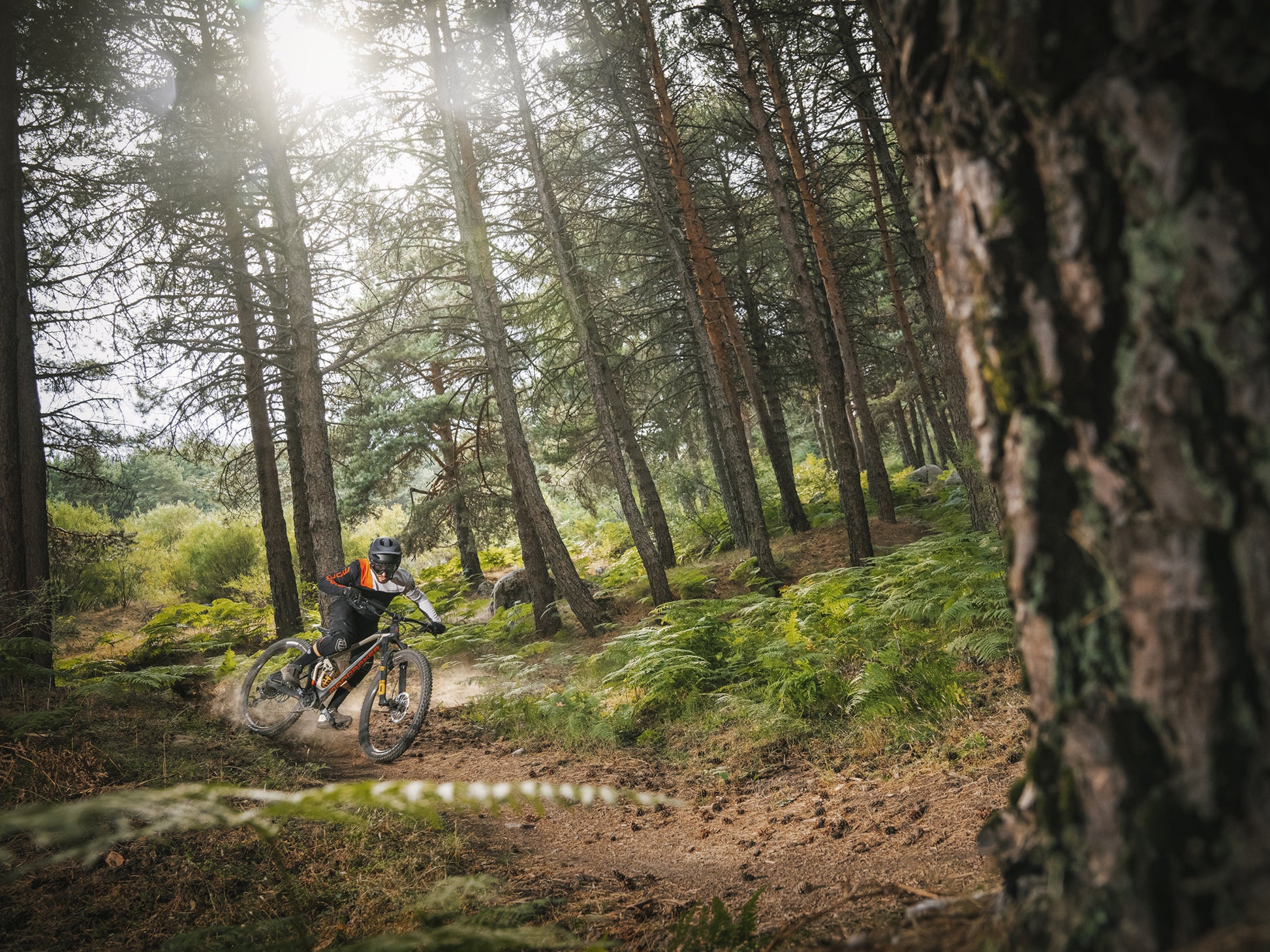 Mondraker Foxy Carbon Dual Suspension Enduro Mountain bike Rider on dirt path in mountain setting