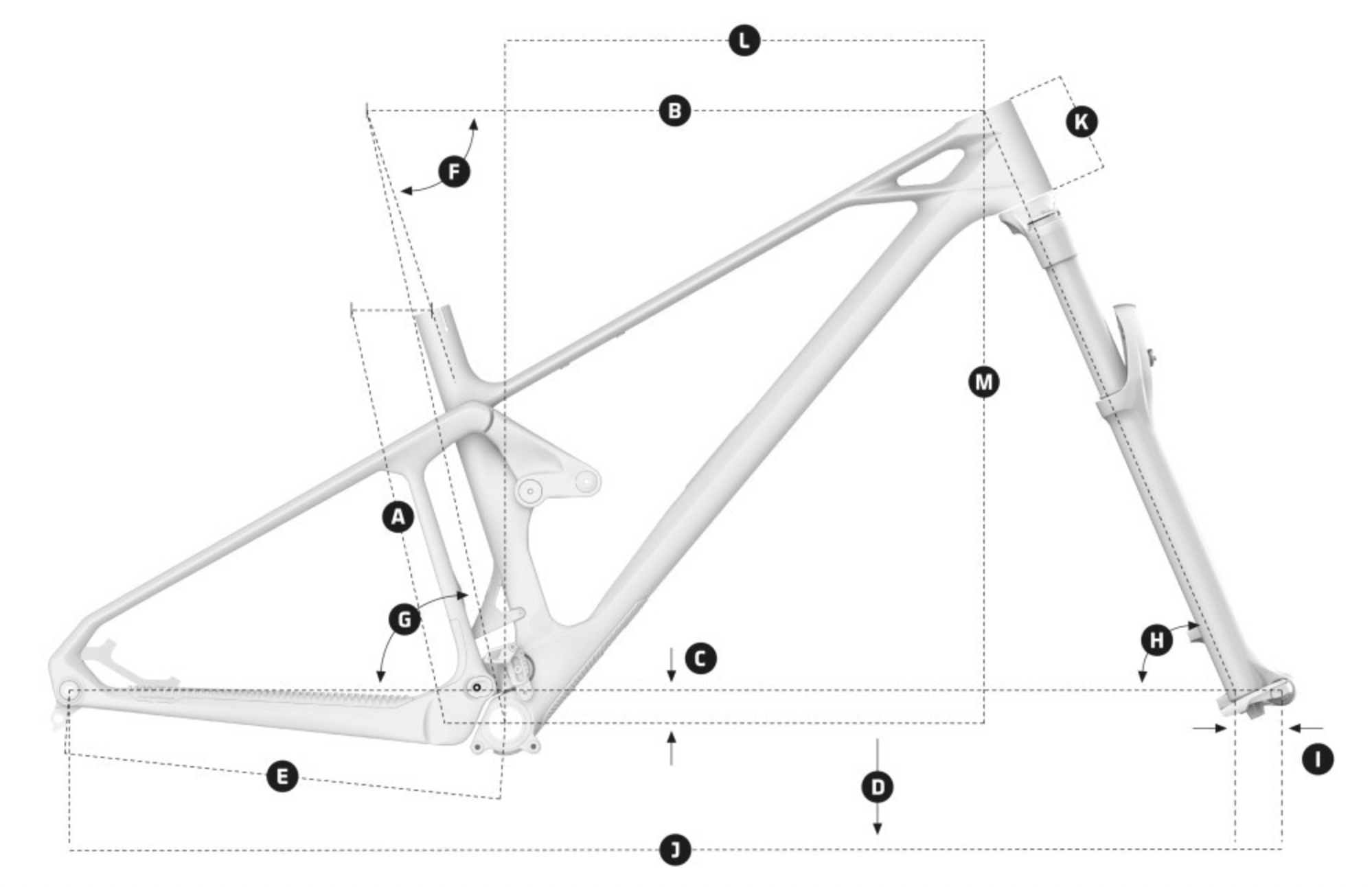 Mondraker Foxy Carbon R AXS Geometry graphic