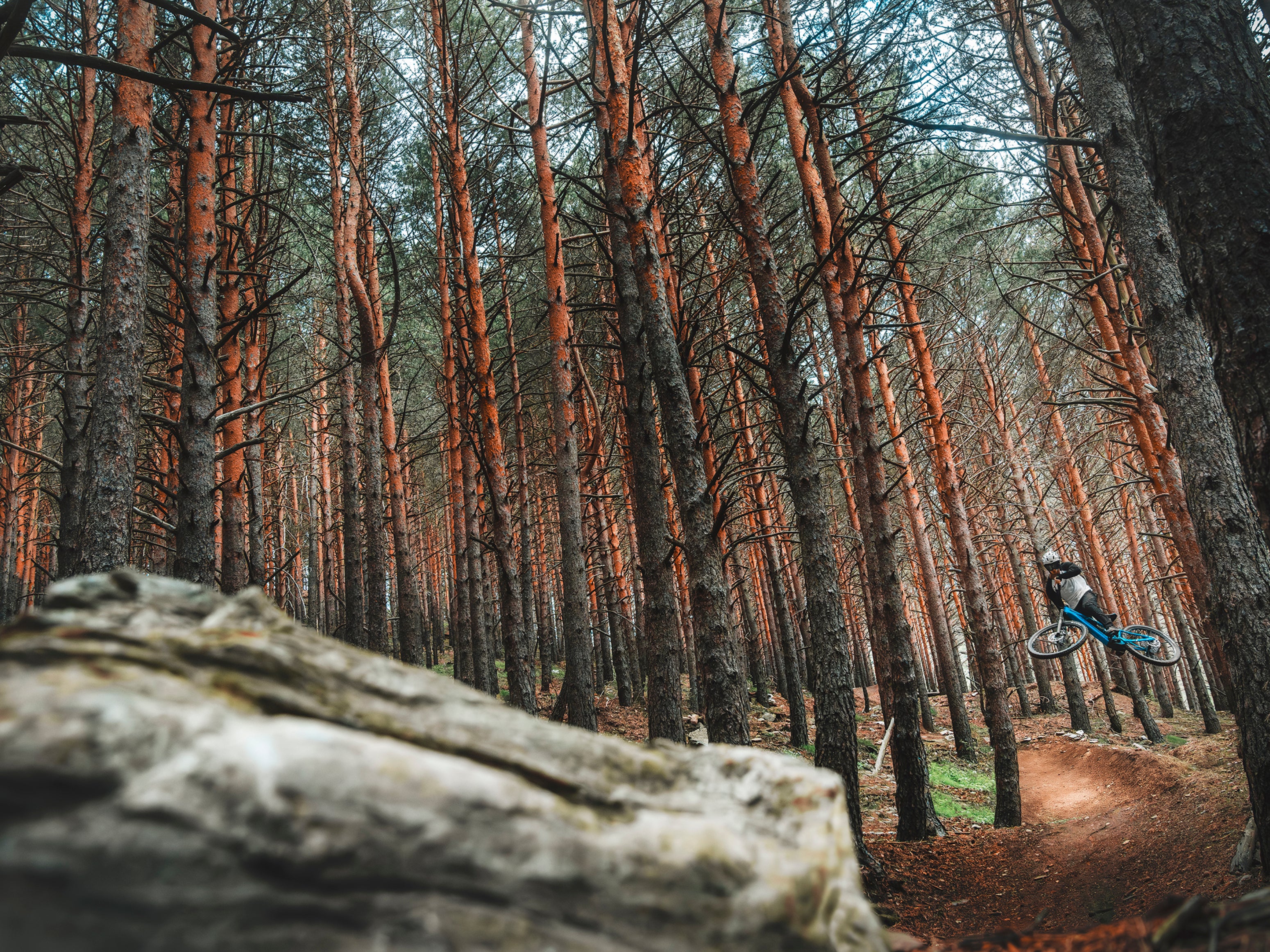 Mondraker Sly RR Black / nimbus grey / tonic gold Lifestyle Rider getting air on tree lined trail