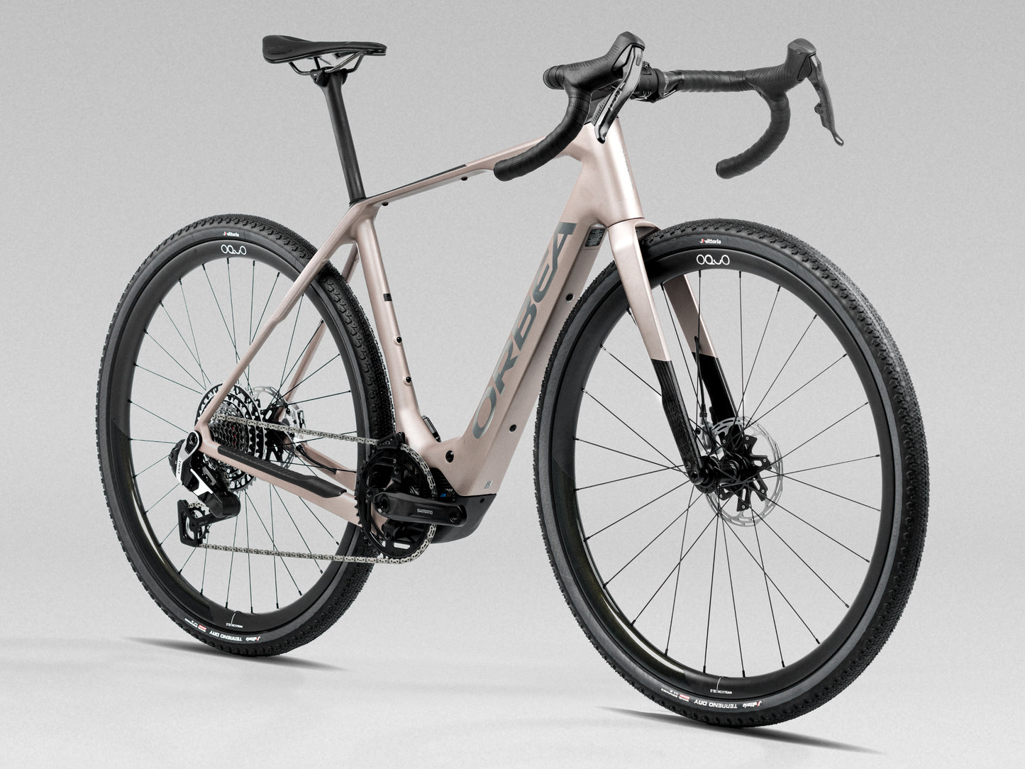 Orbea Denna Gravel Road / commuter eBike Nickel matte / carbon raw gloss Forward facing view
