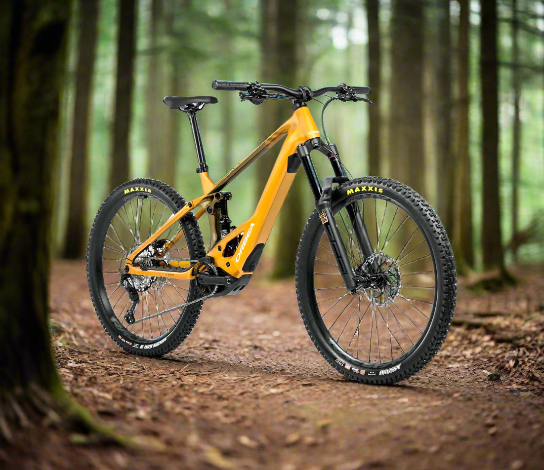 Orbea Wild H20