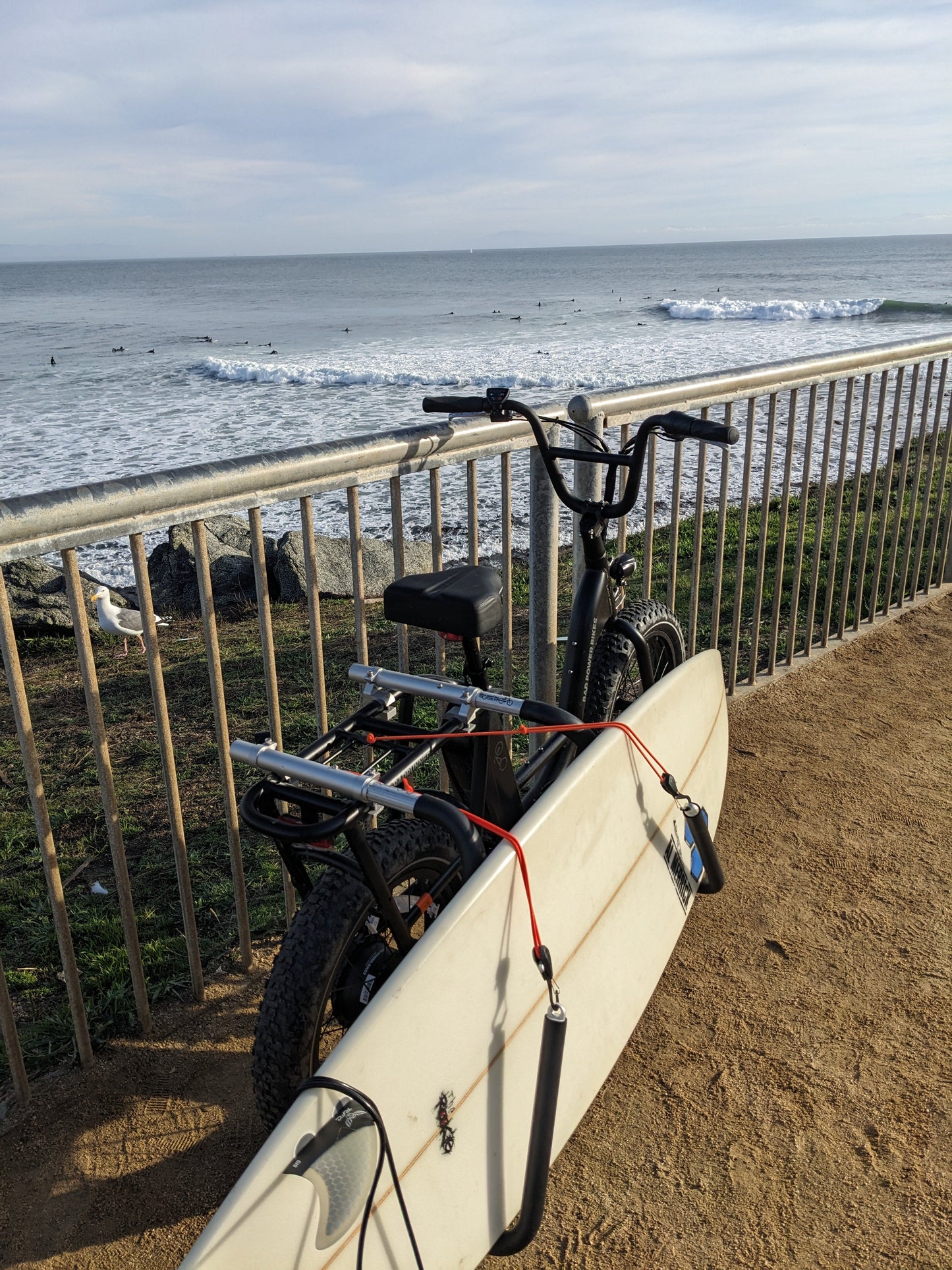 MBB Particle Cord Lock Set (pair), 6'