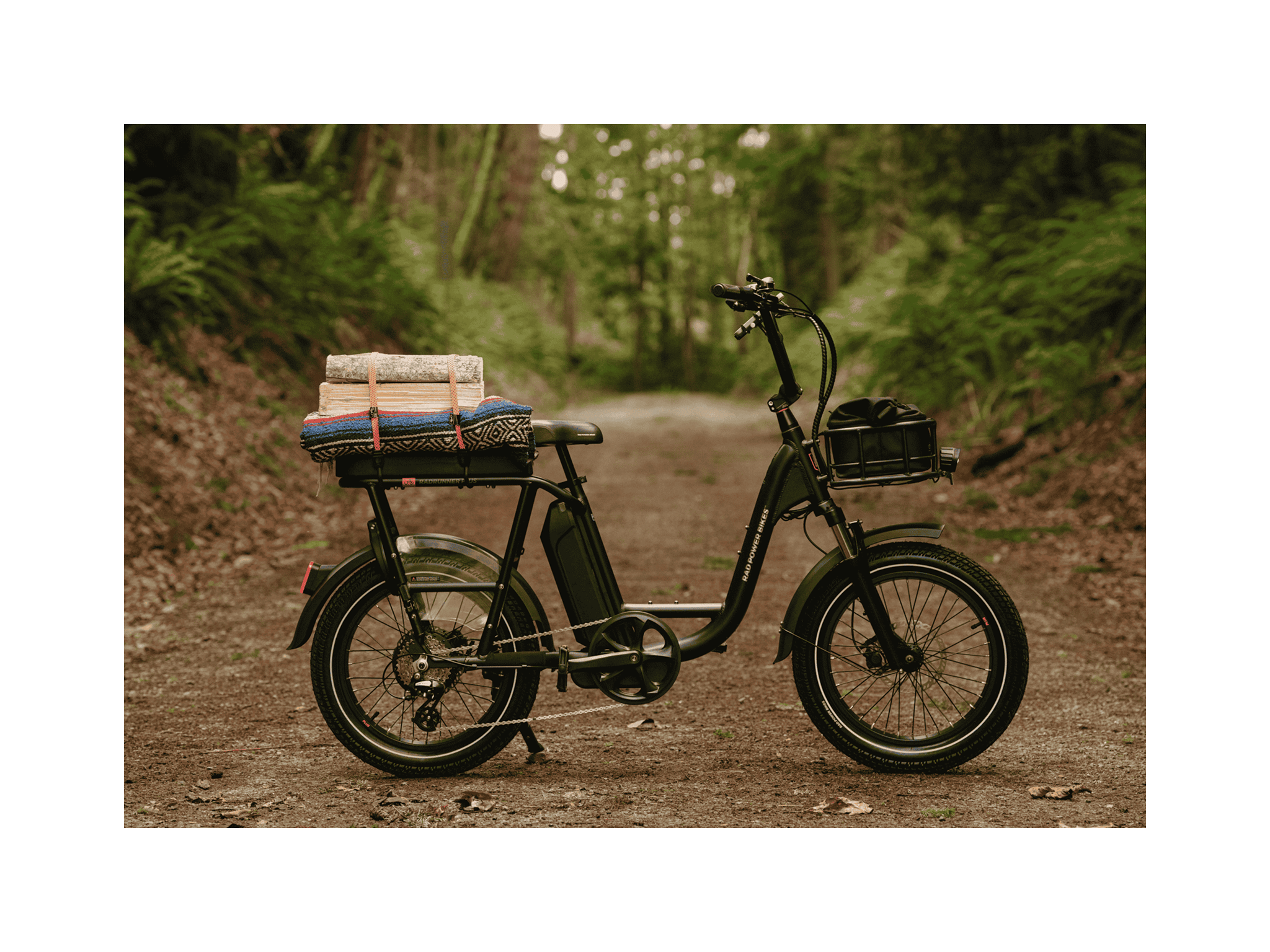 Rad Power RadRunner™ Plus Electric Cargo Utility Bike – Fly Rides USA