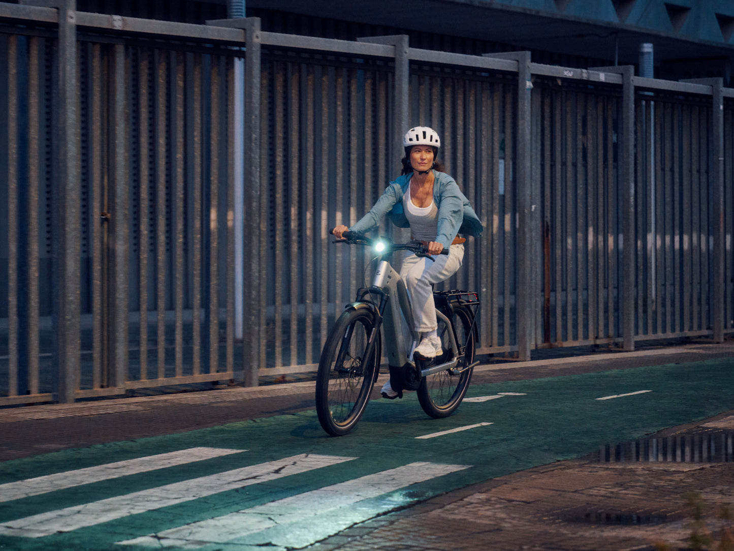 Riese & Muller Charger5 Mixte Leisure, Road / Commuter Bosch Woman riding on Bike path