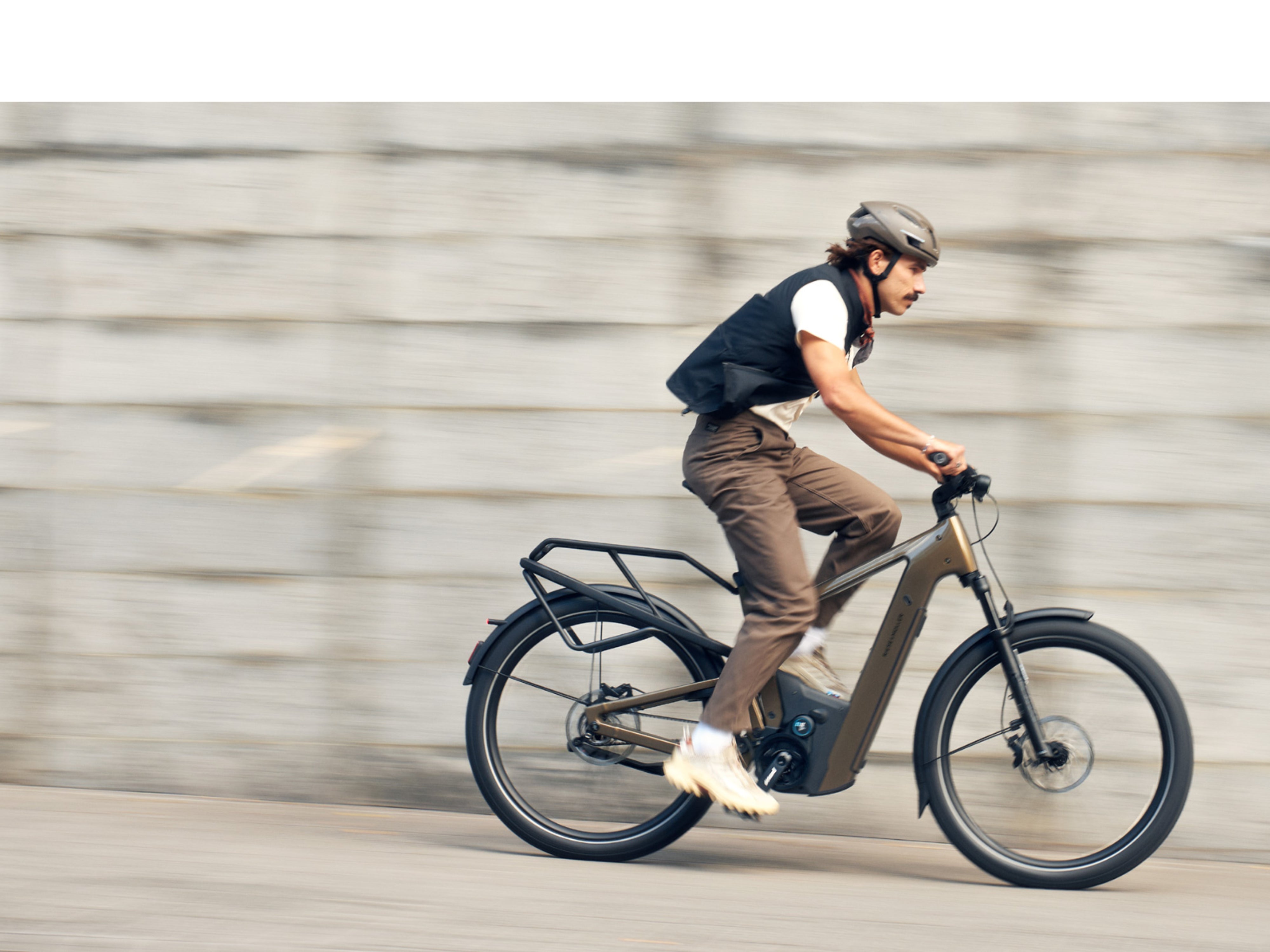 Riese & Müller Delite5 Rohloff eBike for Sale | Fly Rides USA
