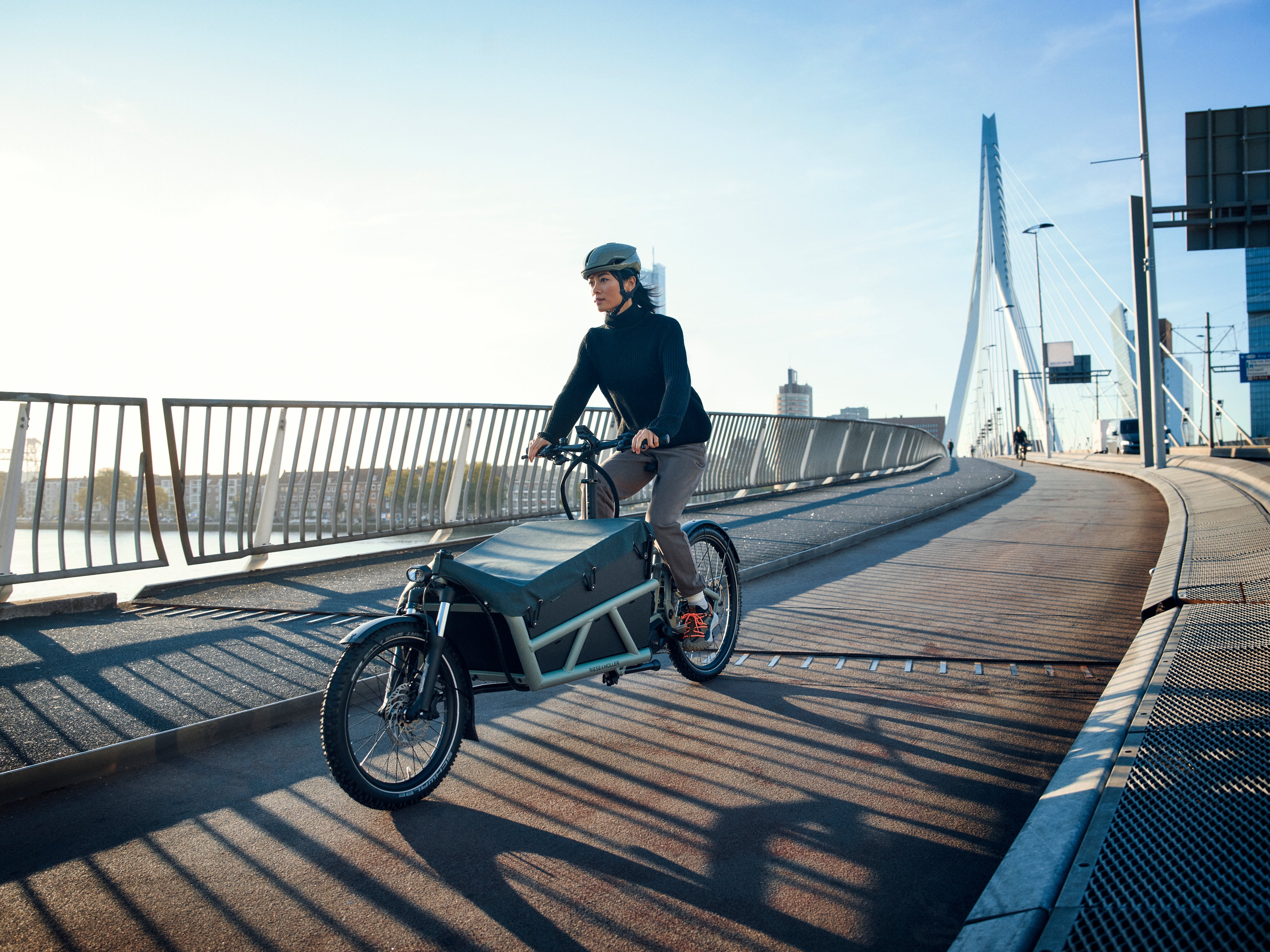 Riese and Muller Load5 75 Rohloff HS – Fly Rides USA