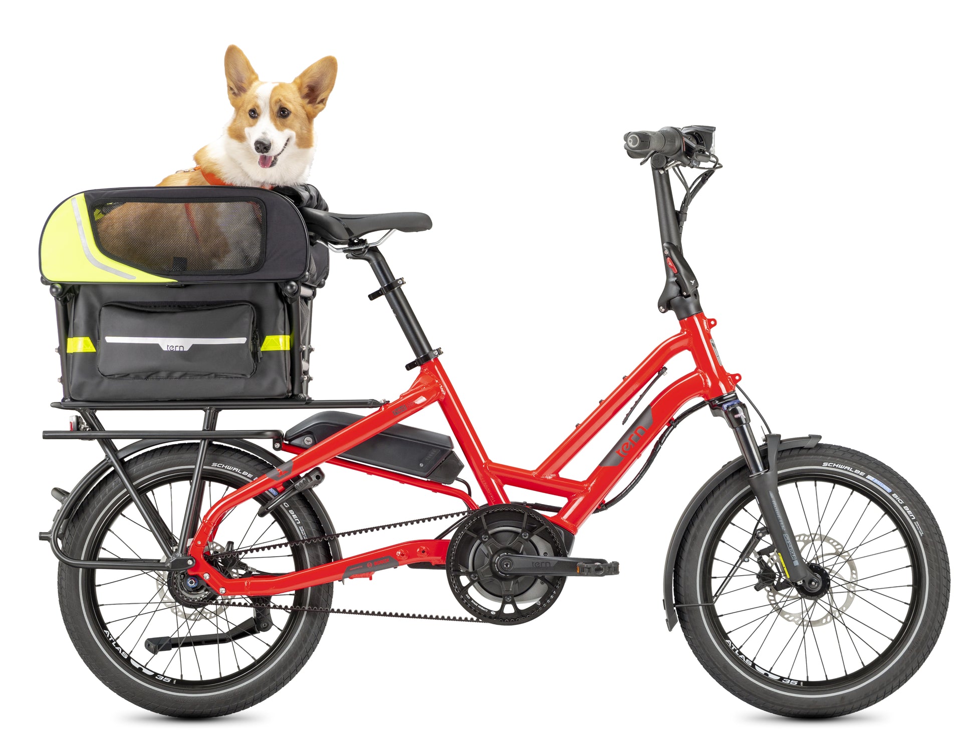 Tern Dog Roof Mini installed on bike with dog passenger 