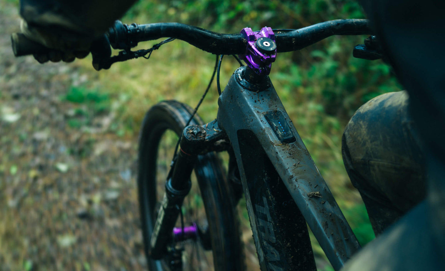 Transition Relay Alloy NX Demo