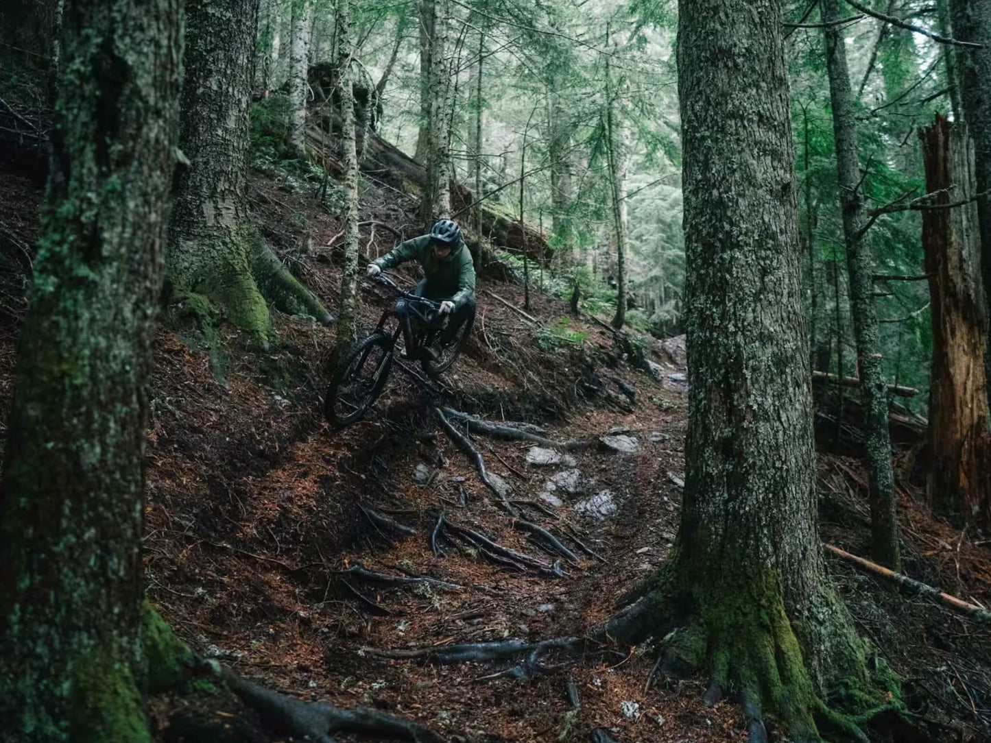 Transition Spire Full suspension Mountain bike Downhill rider in forest setting 