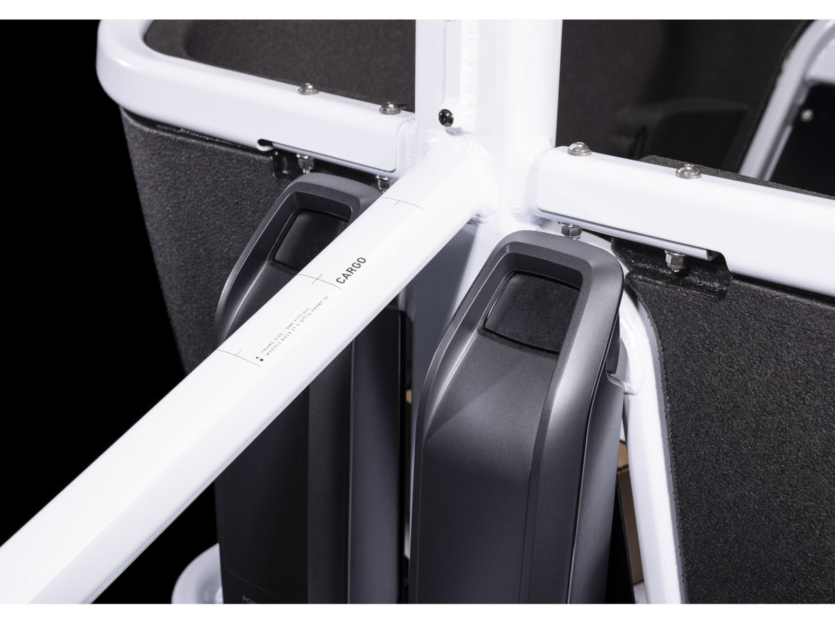 Cube Cargo Dual Sport Hybrid 1000 – Fly Rides USA