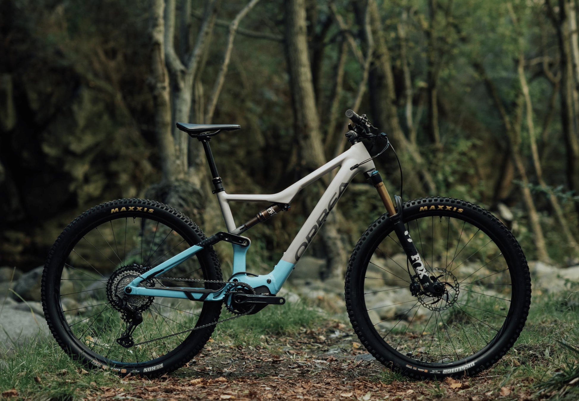 Orbea Rise Hydro H10 eMTB grey blue forest background sideview