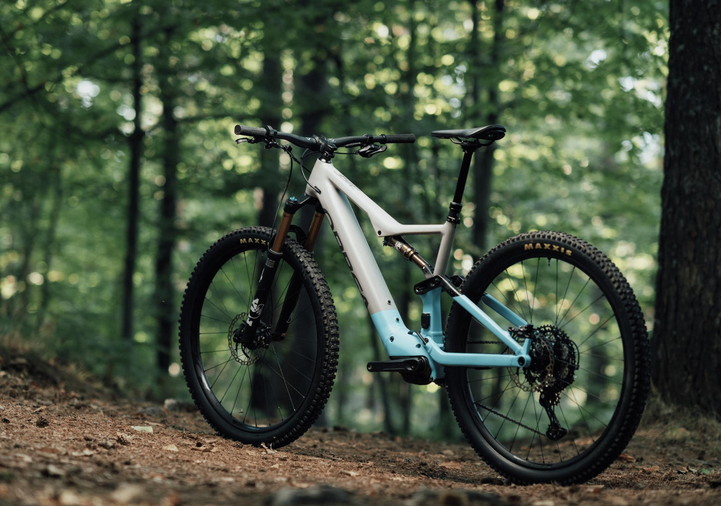 Orbea Rise Hydro H10 eMTB grey blue forest background quarter view
