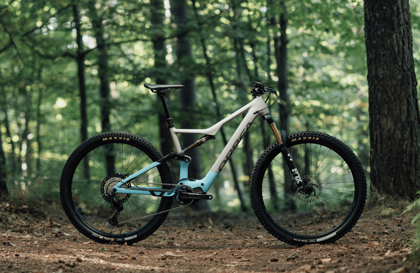 Orbea Rise Hydro H10 eMTB grey blue forest background side view on Fly Rides