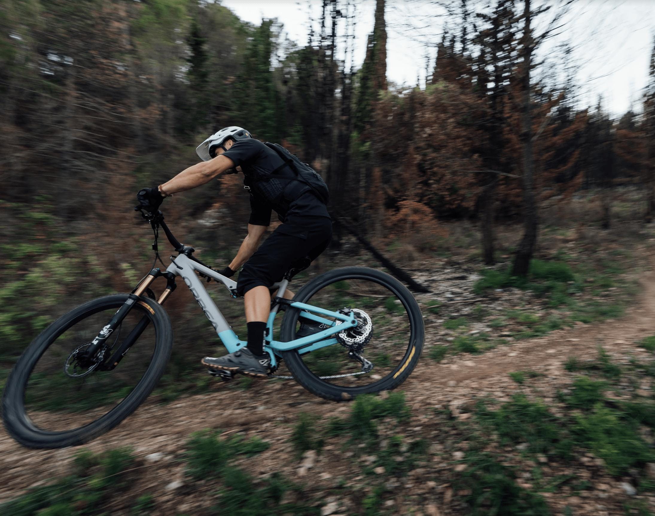 Orbea Rise H15