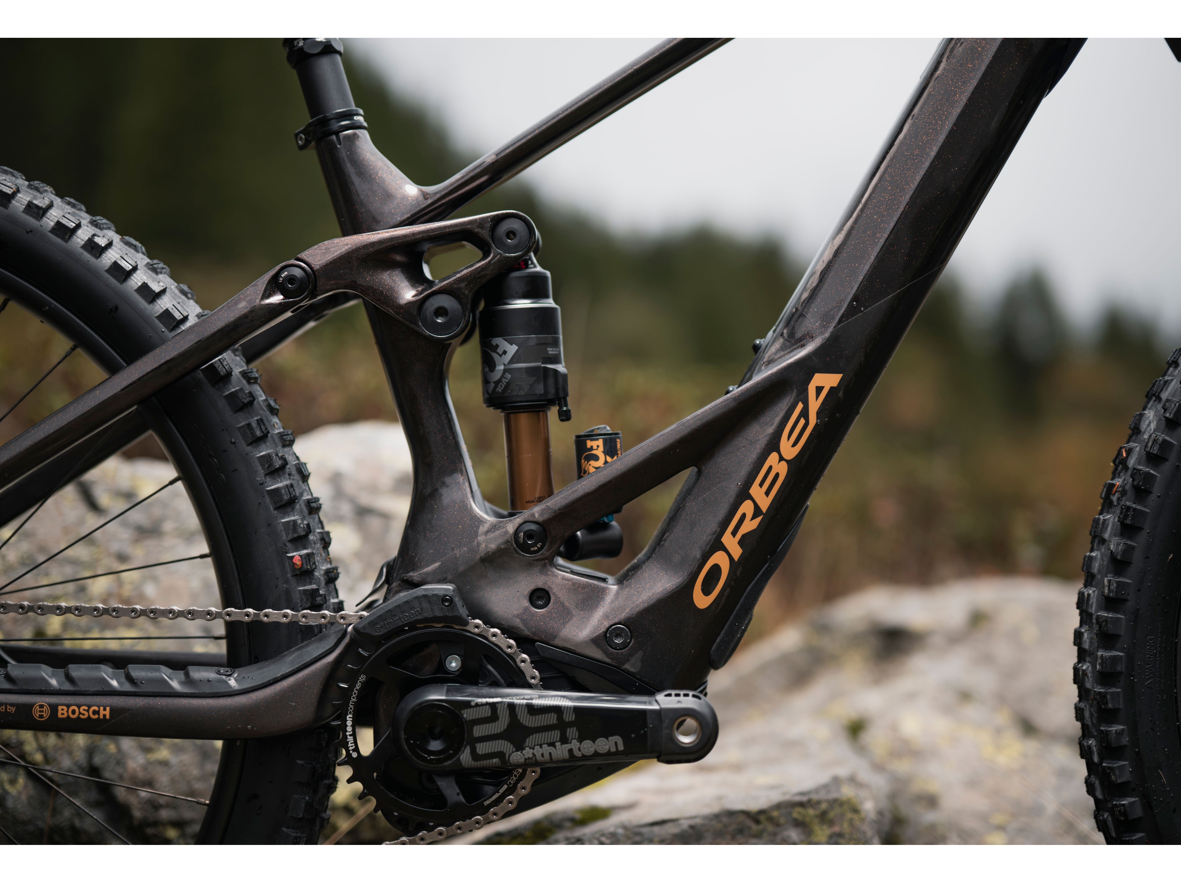 Orbea sales wild emtb