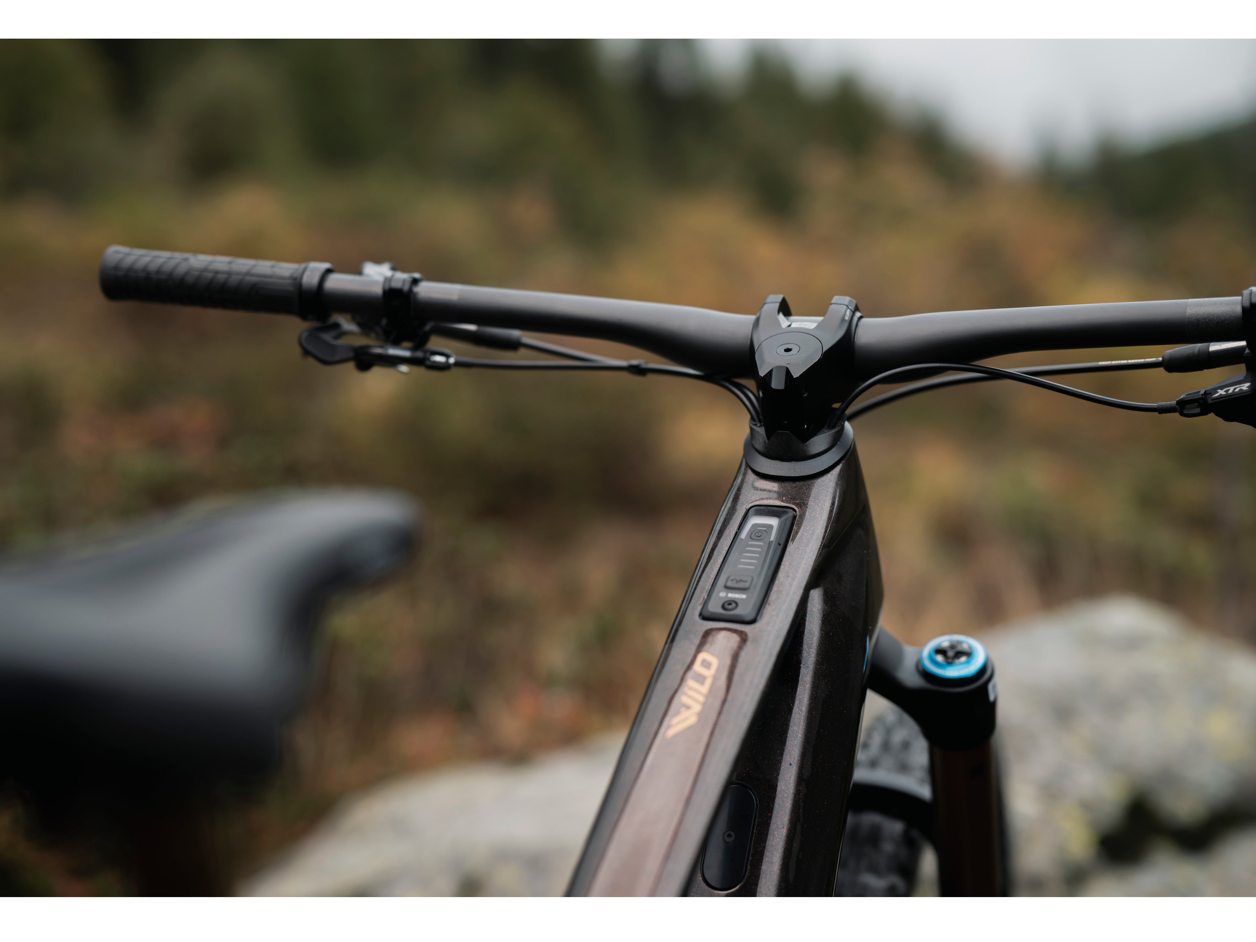 Orbea wild outlet