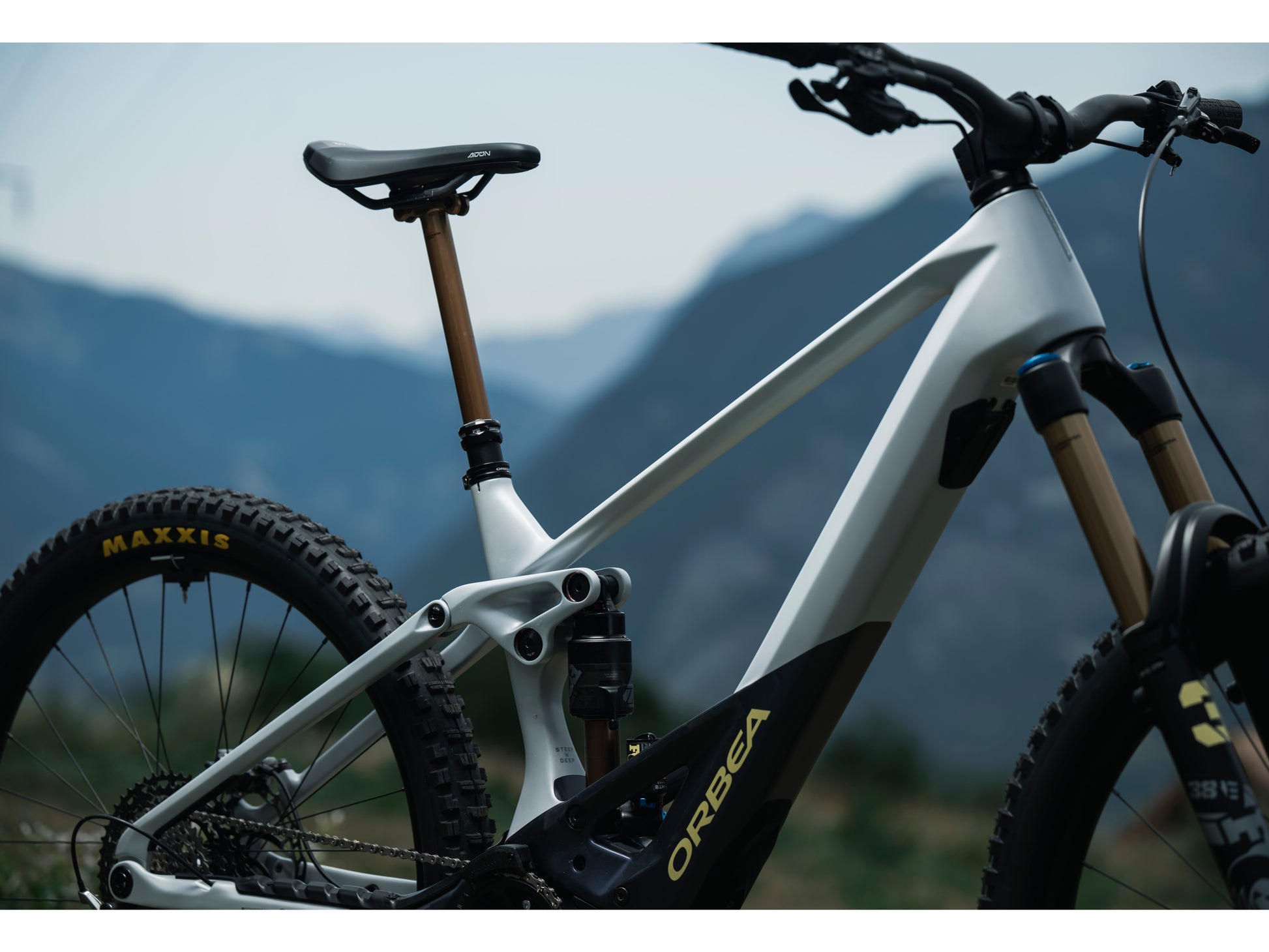 Orbea Wild M20 eMTB full suspension Halo silver tanzanite carbon side profile mountains in background