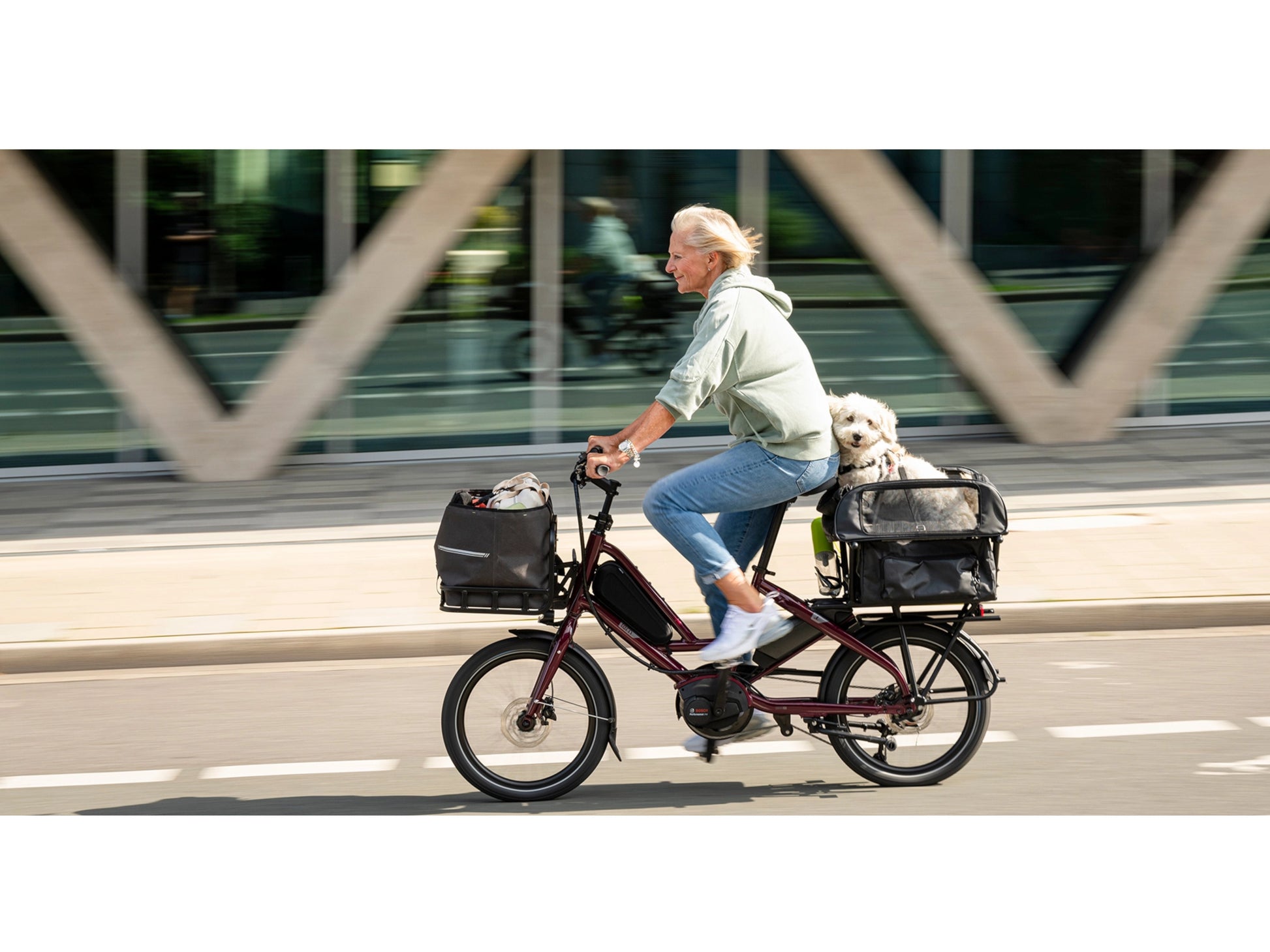 Tern Quick Haul P9 Performance electric cargo bike woman and dog riding on city street